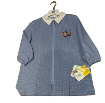 Grembiulini asilo maschio