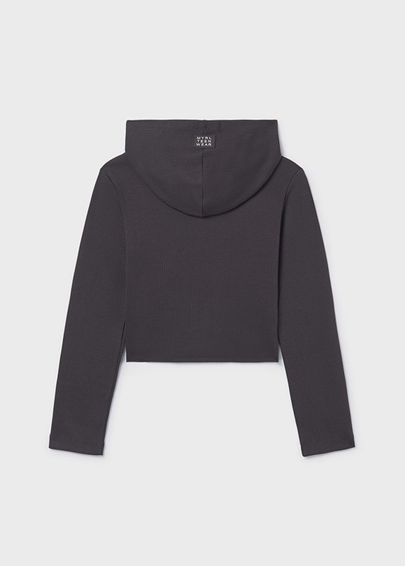 01B5B81357A425B9F3BACC5E52DAC298_ Felpa