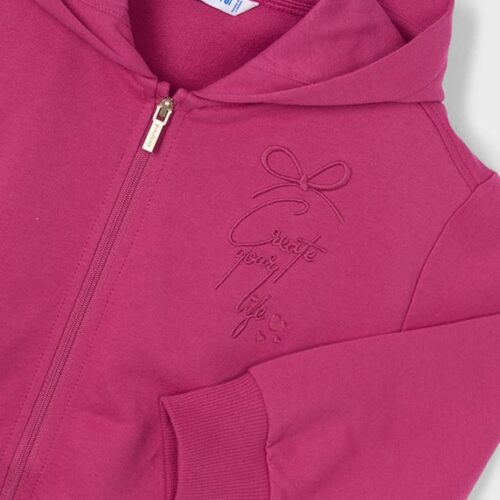 4EA4E8446E036CB0E1067A4ED1F17EF8_ Felpa