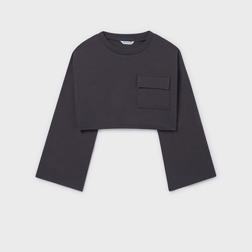 6EDAEC6312A07A28291EB2EC7D4B8ED2_ Felpa