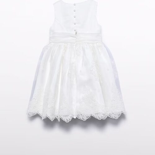 Vestito organza ricamato