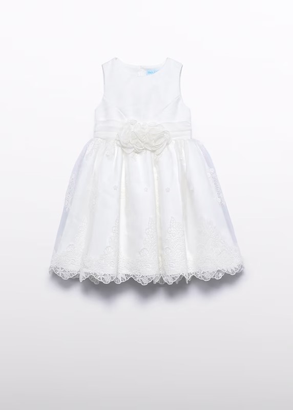 91965DA6E99BEA7ACD17ED9BD1C57A35_ Vestito organza ricamato