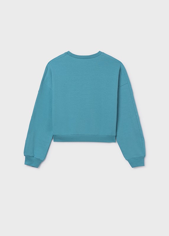 AA80A3DC35ADB283861ED8654D8EBB4B_ Felpa