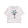 86BCF45517B44AE344009BFAB92879D9_ T-shirt m/c.jersey fiammato c/strass ragazza